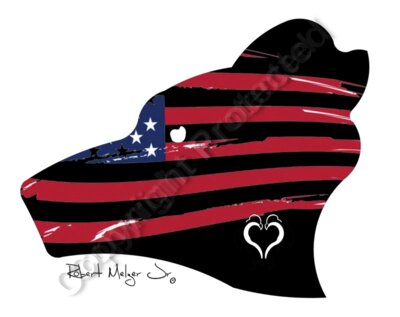 Black Bear and USA Flag
