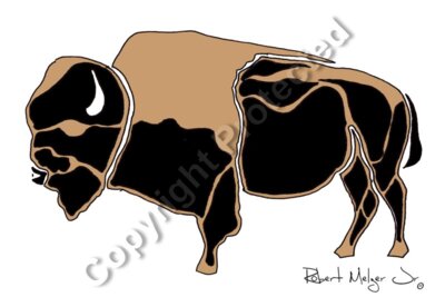 Buffalo Artwork
