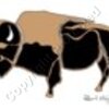 Buffalo Artwork