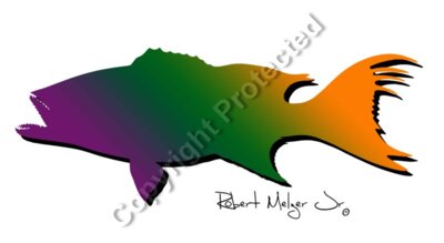 Broom Tail Grouper Artwork