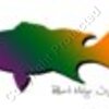 Broom Tail Grouper Artwork