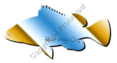 Nassau Grouper