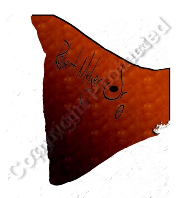 Red Fish Tail