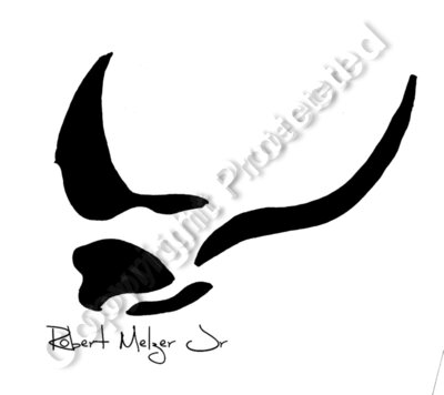 StingRay Artwork