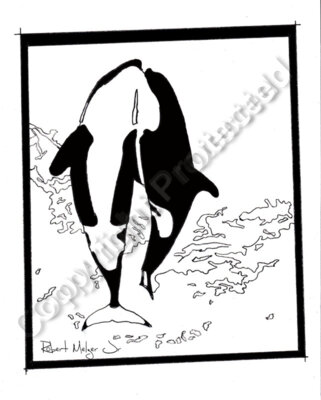 Killer Whales Breaching Artwork