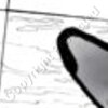 Whale Tail Sketch Artwork #3
