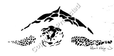Loggerhead Turtle Sketch Artwork #1