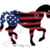 horse with USA Flag Artwork