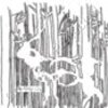 White Tail Buck in Pine Forest Sketch Artwork