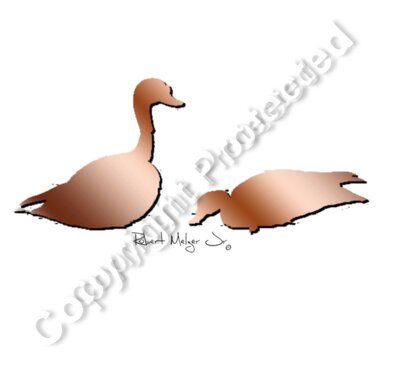Burrow Duck Pair Artwork