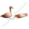 Burrow Duck Pair Artwork
