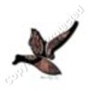 Wood Duck Artwork #2