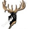 Elk Artwork #1