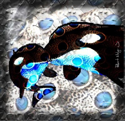Kissing Whales Colored Artwork