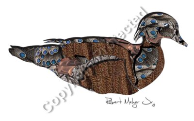 Wood Duck Artwork #3