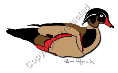 Wood Duck Artwork #4