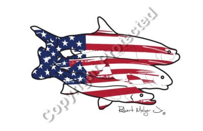 Snook, Redfish and Tarpon with USA Flag Artwo