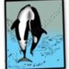 Two Whales Breaching Colored Rendered Artwork