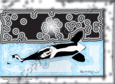 Killer Whale Breaching Artwork