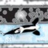 Killer Whale Breaching Artwork