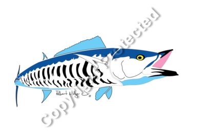 Wahoo Inspired Artwork