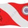 XpeirEnc Outdoors Dive Flag with Dolphins Art
