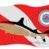 XpeirEnc Outdoors Dive Flag with Shark Artwor