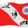 XpeirEnc Outdoors Dive Flag with whales Artwo