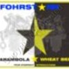 Fohr Starr Craft Beer Label Concept